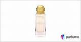 Discover Eternal Love with Our Alluring "Perfume Love Forever Love"