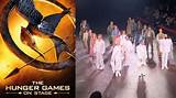 Exploring the Face Behind the Hunger Games Role