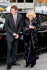 Queen Camilla and Prince Harry's Relationship: a Complex Tale of Rivalry and Reconciliation