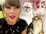 Taylor Swifts Cat Name